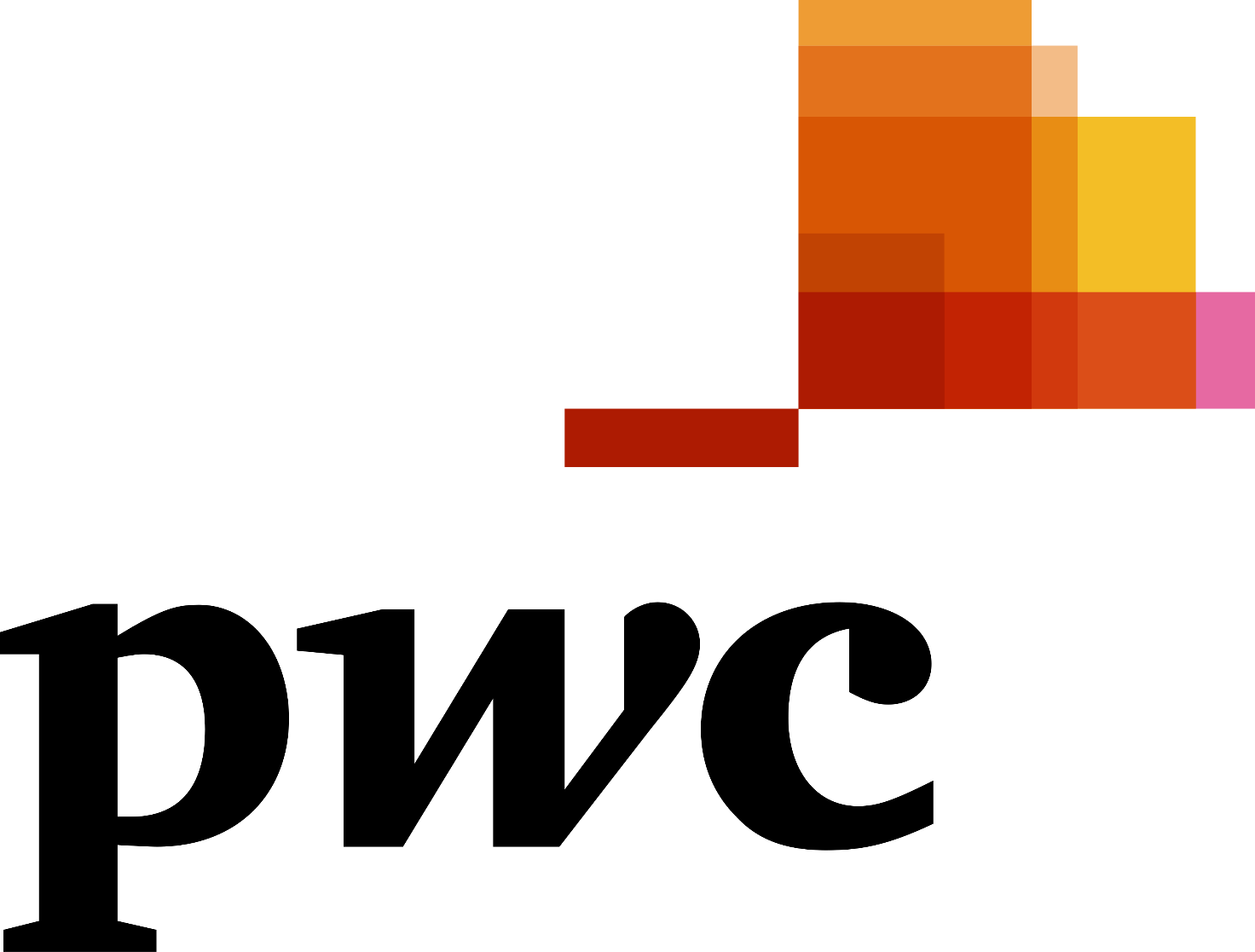 Partner Logo 6